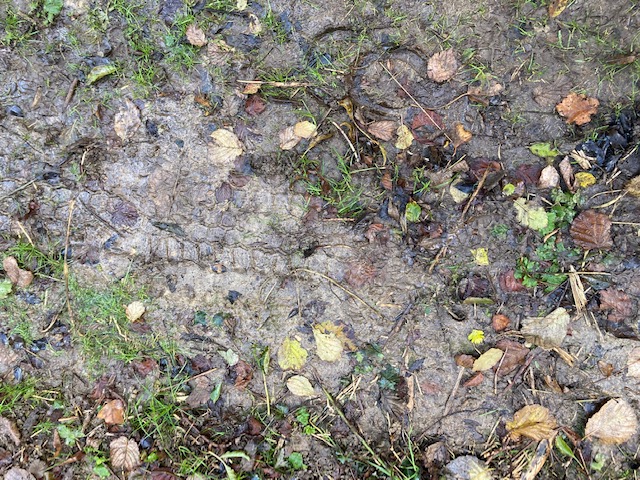2021 12 04 Montanay