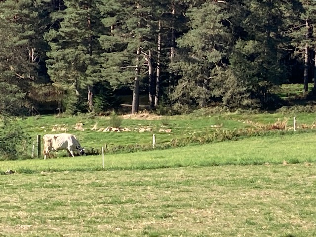 Samedi 14 mai 2022 : Les Sauvages