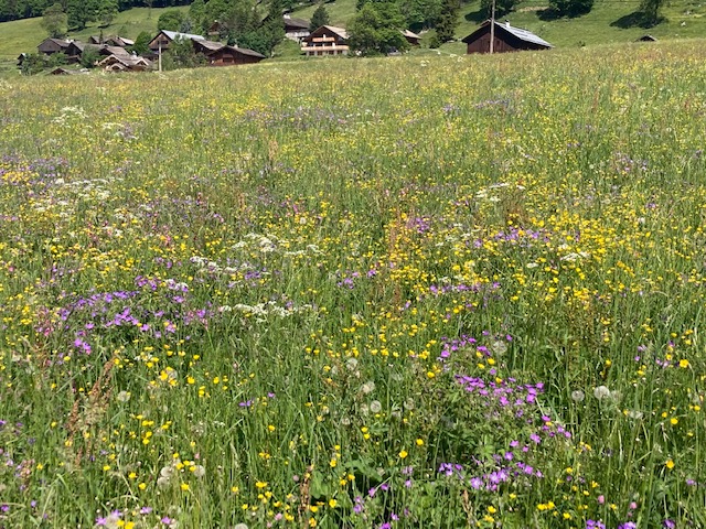 2022_06_21_la_clusaz