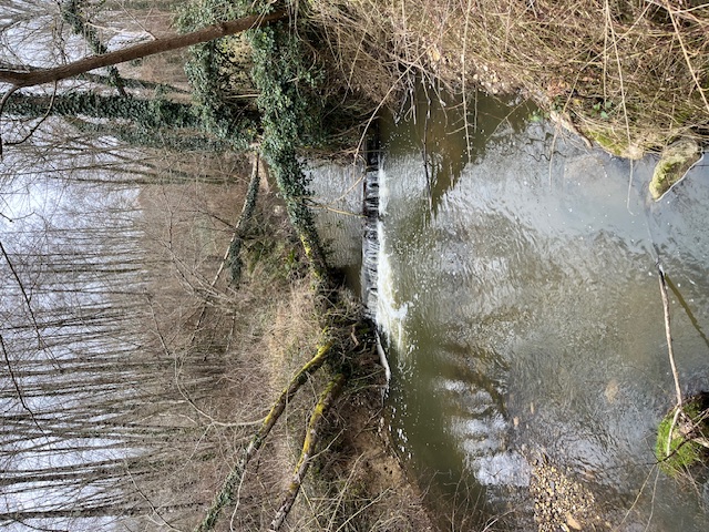 samedi 1 mars Dagneux