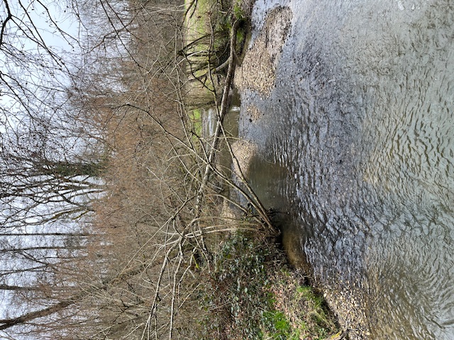 samedi 1 mars Dagneux