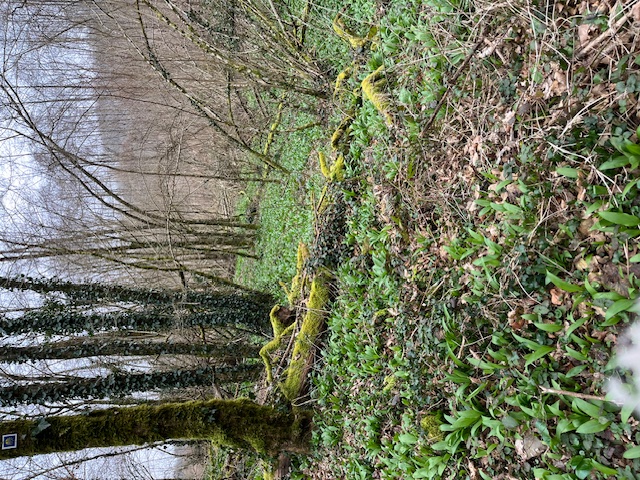 samedi 1 mars Dagneux