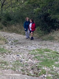 IMG 3368 2