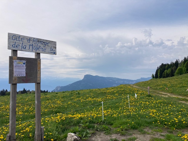 IMG 4899