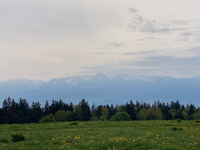 IMG 4899