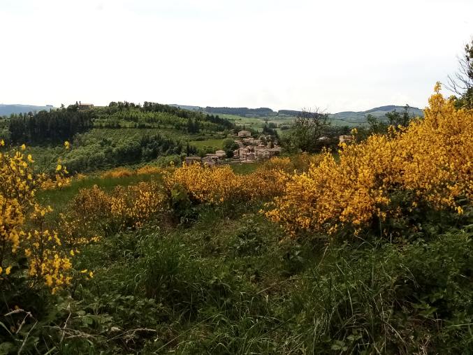 Samedi 14 mai 2022 : Les Sauvages